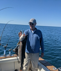 Chinook Salmon caught while fishing in South Haven