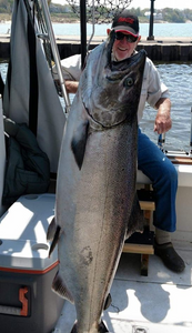 Chinook salmon caught by a person fishing in South Haven