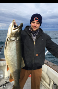 Coho Salmon caught while fishing in MI