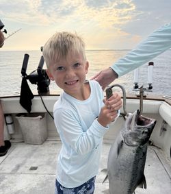 Coho Salmon fishing in MI
