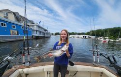 Rainbow trout caught while fishing in Michigan