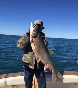Triumphant catch of a rainbow trout in MI