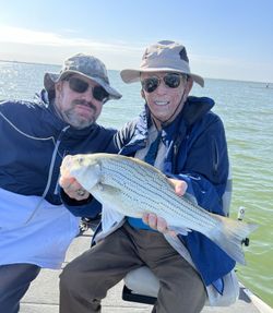 Anglers catching striped bass in TX