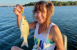 A wiper (hybrid striped bass) caught while fishing in Wylie
