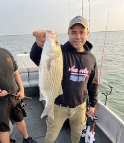 Wiper (Hybrid striped bass) caught while fishing in Wylie