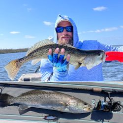 Speckled Trout Fishing in Cape Coral