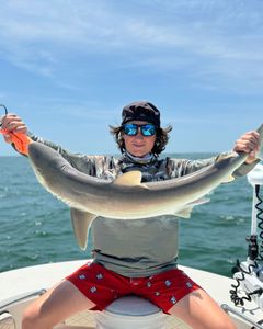 Photograph of a 30-inch Atlantic Sharpnose Shark caught in FL