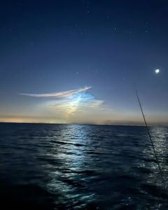 Fishing at FL location, cruises, fishing, hunting, tours