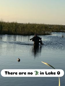 Scenic view of Chesapeake during cruises, fishing, hunting, and tours