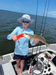Spotted weakfish caught in Florida