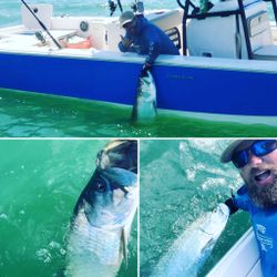 Two fish in the Chesapeake area