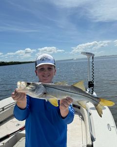 Nice mangrove snook for Chase!