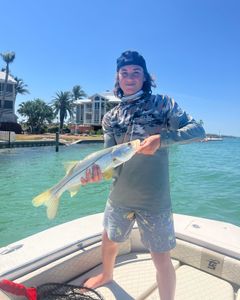 Tarpons catch in Cape Coral Fishing Trips!