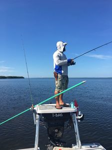 Scenic view of the Chesapeake Bay