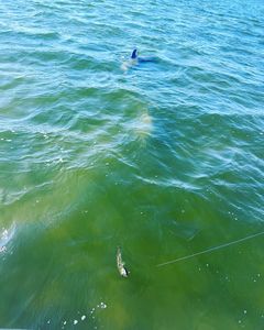 Scenic view of the Chesapeake