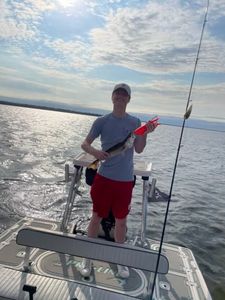 Person enjoying outdoor activities in the Chesapeake region