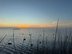 Scenic view of Chesapeake with cruises, fishing, hunting and tours