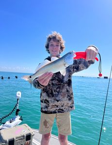Redfish caught in Chesapeake