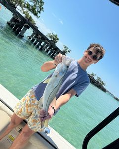 Snook fish in Chesapeake