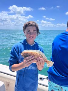 One summer flounder caught in Chesapeake