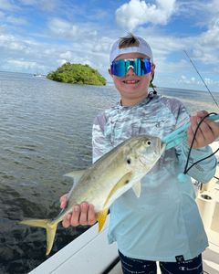 Crevalle Jack fish caught in FL on cruises, fishing, hunting, tours