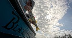 Cruising, fishing, and hunting tours in Florida
