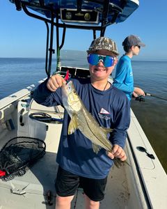 Snook fish caught in FL on cruises, fishing, hunting, tours