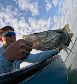 Angler fishing in Florida