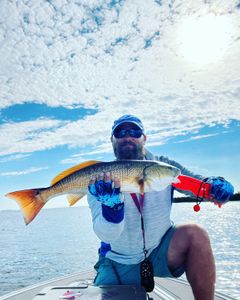 A single redfish caught in Chesapeake