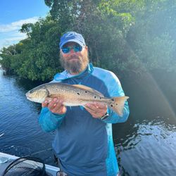 A single redfish caught in FL