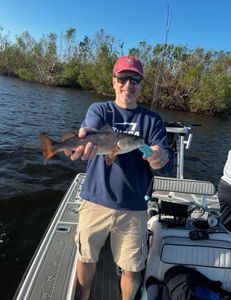 Redfish measuring 17 inches caught in FL