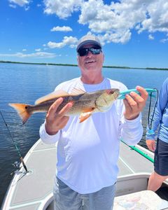 Redfish caught during fishing cruises in Chesapeake
