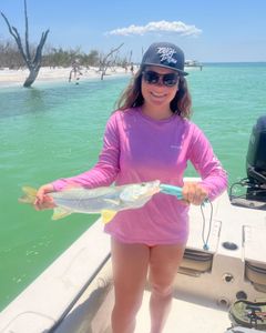 Snook fish caught in Chesapeake