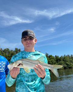 1 snook fish caught during cruises, fishing, hunting, or tours in Chesapeake
