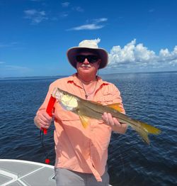Snook fish caught in Chesapeake
