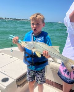 A single Snook fish caught during a fishing trip in Chesapeake