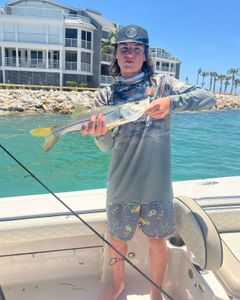 Snook fish caught in Chesapeake