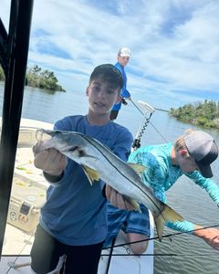 Snook fish caught in Chesapeake