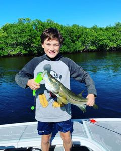 Image of a 12-inch Snook fish caught in FL
