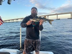 Snook fishing in FL