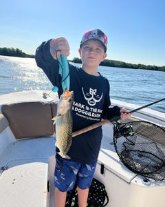 Spotted Weakfish, 14-inch fish caught in FL