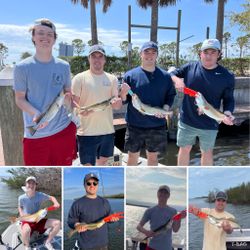 Spotted Weakfish caught in FL