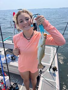 Spotted Weakfish, a 15-inch fish, caught in FL