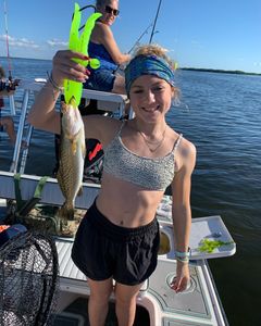 A spotted weakfish, a 27-inch fish, caught in the Chesapeake.