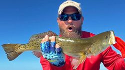 Spotted weakfish, 22 inches, caught in Chesapeake
