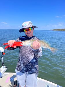 Spotted Weakfish in FL
