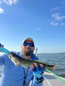 Spotted Weakfish, 19-inch catch in FL