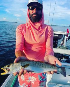 Spotted weakfish caught during fishing trip in FL