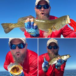 Two spotted weakfish, 23 inches long, caught in FL