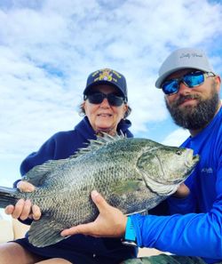 A lone tripletail fish caught in FL